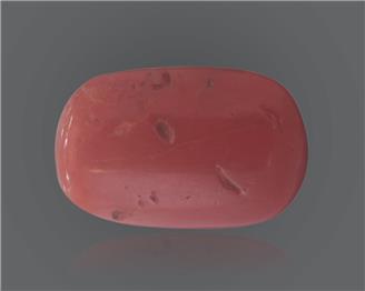 Red Coral (Moonga) Natural Certified 8.32 RATTI ( 91881 )